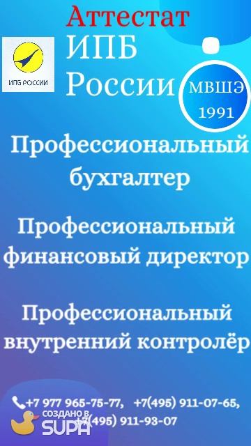 Профессиональный бухгалтер