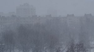 Метель накрыла Санкт-Петербург 26.02.2026