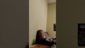 Всем привет 👍