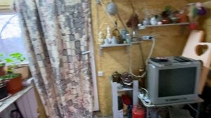 26-02-2026. Доски для рыбы, хочу больше традесканций .