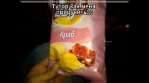 \\А...Э... Ну тип тутор как меня приручить))) \\ А я одиночка, пойду лайк смотреть\\