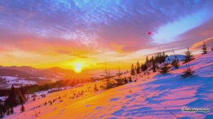 Коран сура Аь-Маида чтец Мухаммад аль-Факих