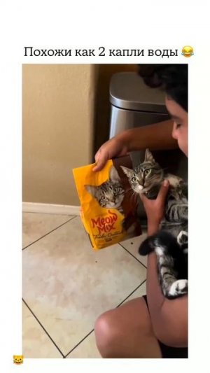 Похожи как два кусочка корма