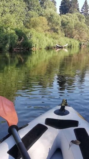 Сплав по чистой реке, очищенной от мусора