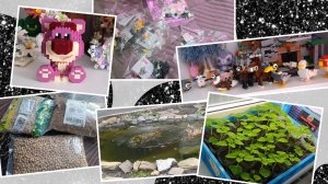 Рассада/ Семена гороха.../Вышивка, продвижение/ Новое лего...