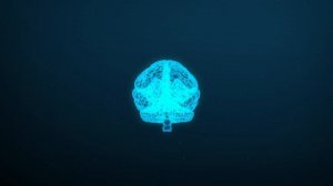 Mental School Online