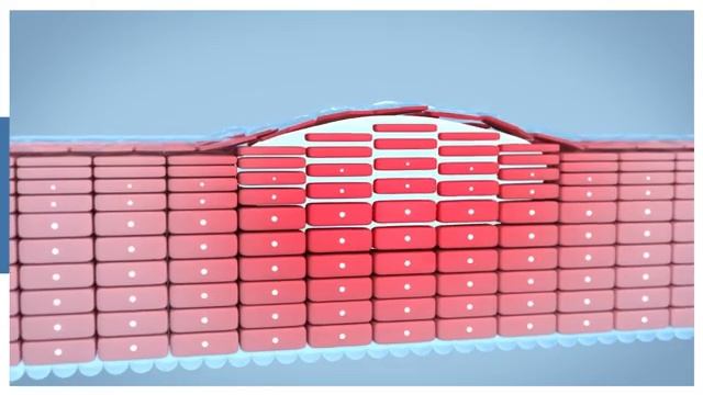 Bioderma Уход за сухой кожей смотреть онлайн