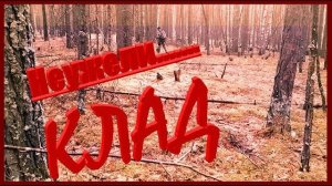 ОБНАРУЖИЛА В ЛЕСУ ТАКОЕ… НЕУЖЕЛИ Я НАШЛА КЛАД?! 😱💰