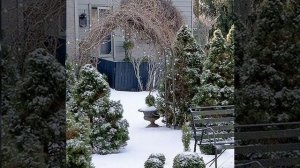 Влад Сташевский Самая  долгая  ночь 🌙