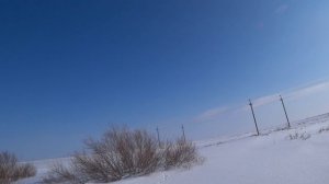 Охота на зайца - Закрытие сезона 2025-2026