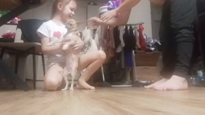 группа поддержки лисы для дени ❤️🥰