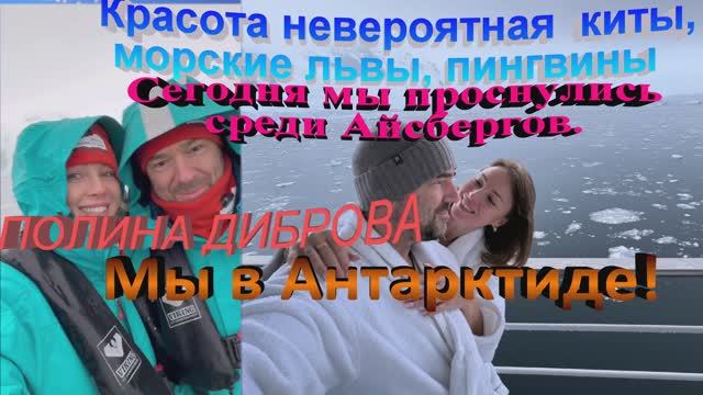ПОЛИНА ДИБРОВА  на в Антарктиде! Сегодня мы проснулись среди Айсбергов. Красота невероятная