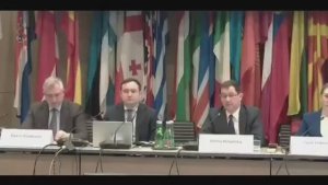 ОБСЕ В поиске решения по урегулированию украинского кризиса, Вена, 24 февраля 2026 года