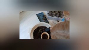 26 февраля 2026г Переваливаю перцы