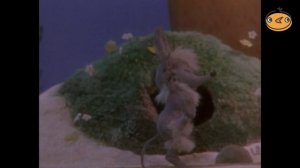 Промо. Канал Чижик. Март 2026