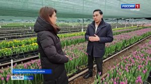 ВЕСТИ КРЫМ: выпуск 26.02.26 21:10