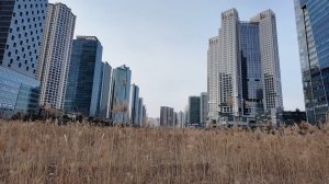 Корея. "Умный" город Сонгдо