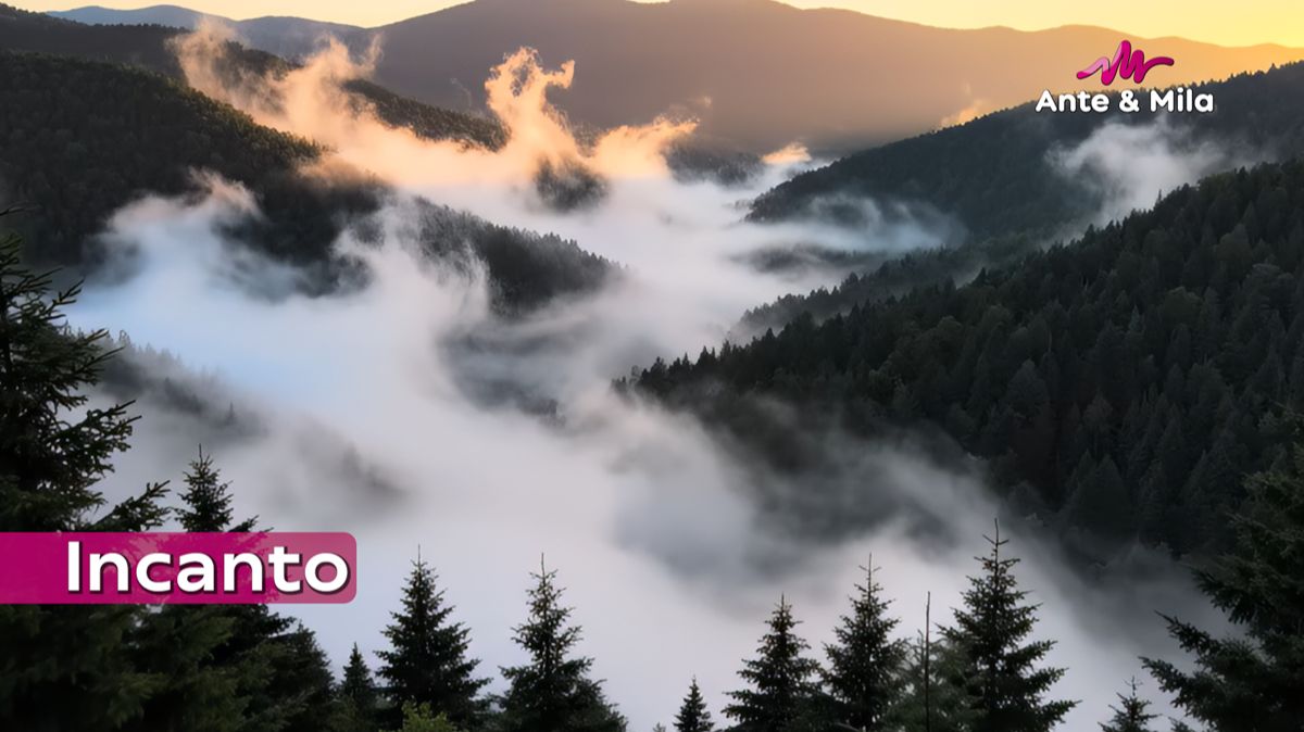 Анте & Мила - Incanto