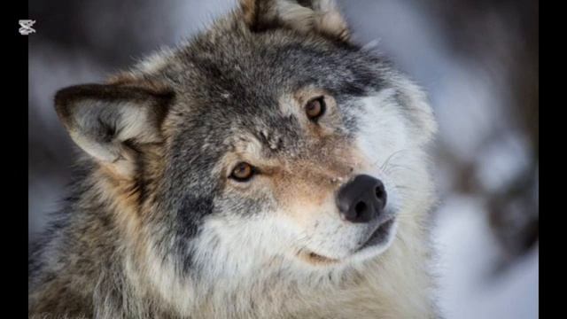 Garik GarikА жизнь такая сука штука смотреть онлайн