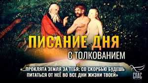 «…Проклята земля за тебя; со скорбью будешь питаться от неё во все дни жизни твоей» / Писание дня
