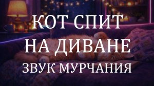 Мурчание кота 10 часов 🐈 Кот спит на диване | Уютный звук для сна и расслабления