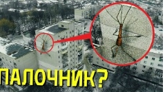 Сергей онис