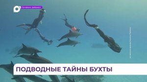 Подводные тайны бухты Труда: в Приморье дайверы спускаются под лёд к затонувшим кораблям