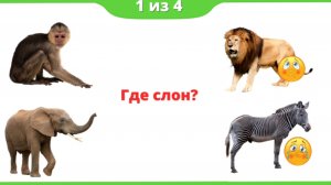 Картинки для детей!Узнаем какие животные ,где живут и как выглядят ,какие домашние а какие дикие.