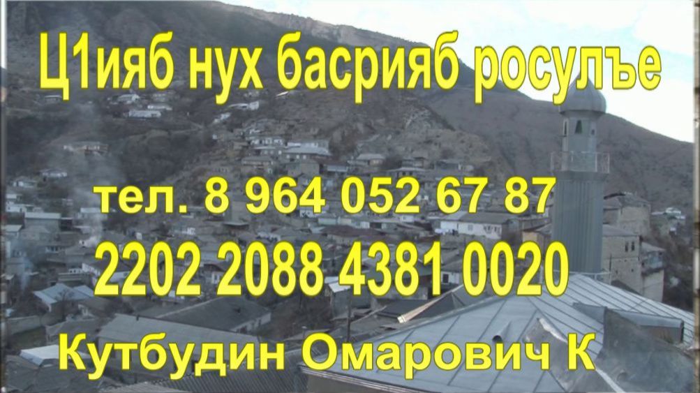 Г1али Х1ажиясул к1влъай смотреть онлайн