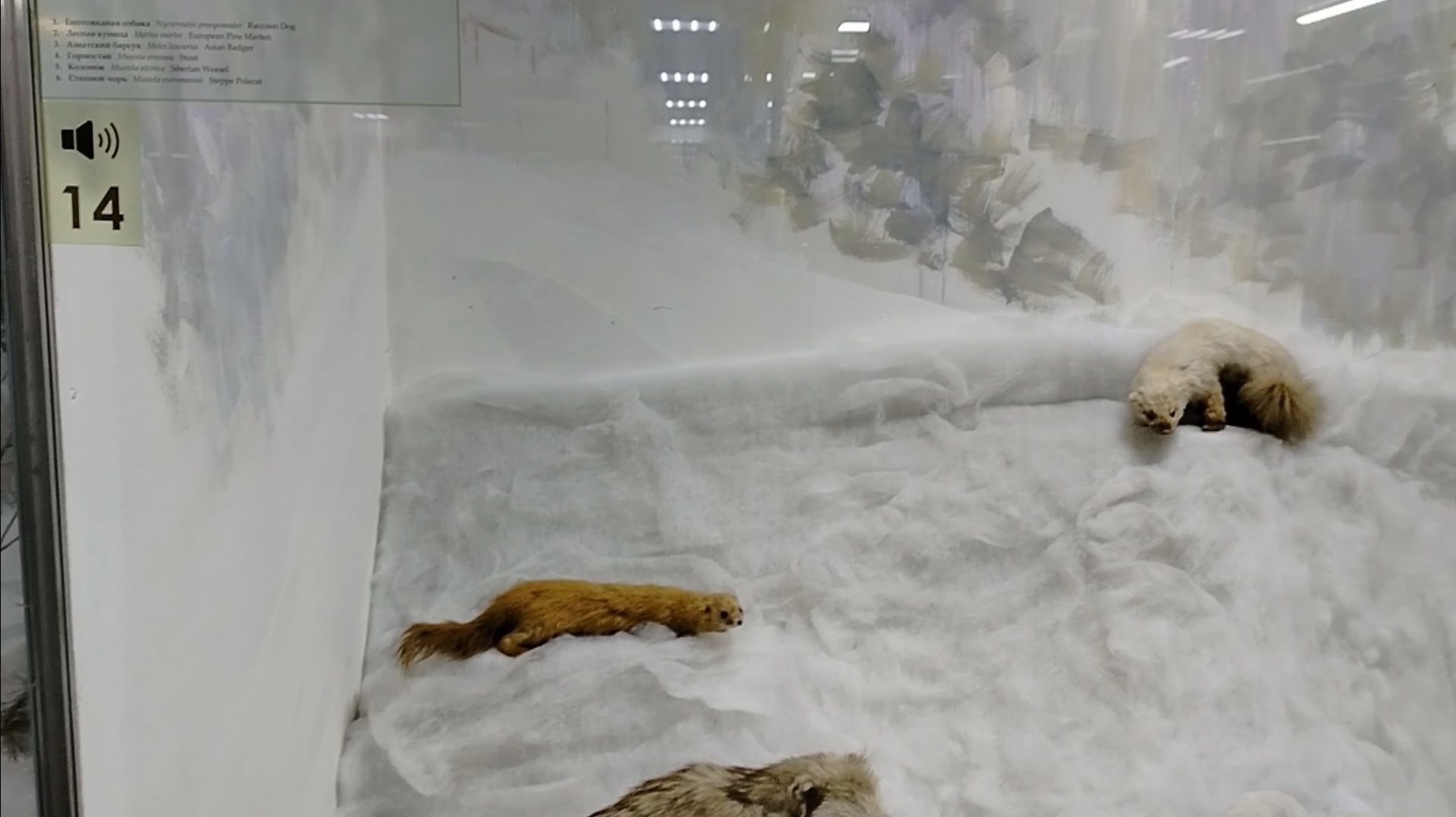 ПРОСТАЯ ЖИЗНЬ 45// ПОСЕТИЛИ КРАЕВЕДЧЕСКИЙ МУЗЕЙ В КУРГАНЕ//РЕАЛЬНАЯ ЖИЗНЬ смотреть онлайн