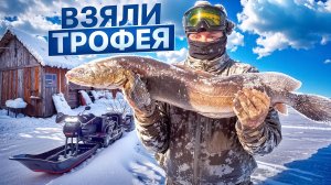 УЕХАЛИ В СТАРУЮ ИЗБУ//МОРОЗ ДАВИТ//ЗАПАСАЕМСЯ ДРОВАМИ//УСТАНАВЛИВАЕМ КУЧУ ЖЕРЛИЦ