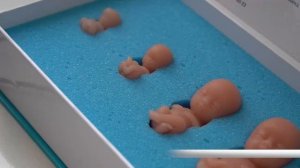 Новости дня - 24.02.26