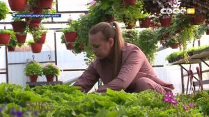 Новости на Своём от 26 февраля 2026г. 8:30