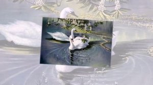 Эльдар Мансуров - Мелодия