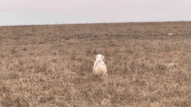 Федора. 26.02.26. смотреть онлайн