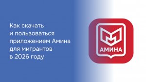 Как скачать и пользоваться приложением Амина для мигрантов в 2026 году
