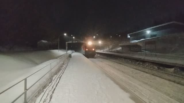 Муром. Контейнерный поезд в сторону Москвы.