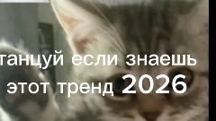 танцуй если знаешь этот тренд 2026