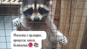 Перенос ярмарки, тюльпанчики, книги, болталка🧶💐📚💚