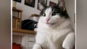 Рыбень моя!