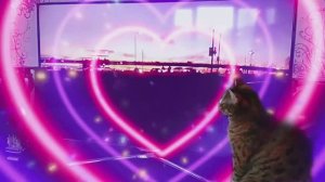 Кошка Маська смотрит телевизор/ Превращение в оленёнка/Эффект нейросети/Жизнь в России 🇷🇺