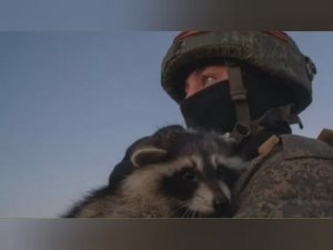 Всем защитникам Родины посвящается... До слёз