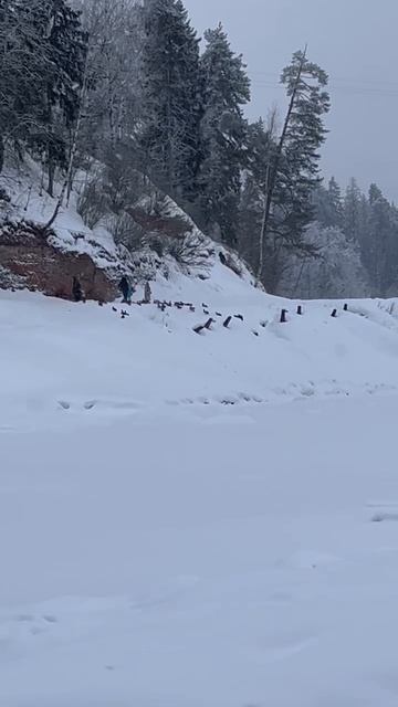 MOV_20260226_103037_411