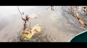 поездка за воблерами ЧАСТЬ 12