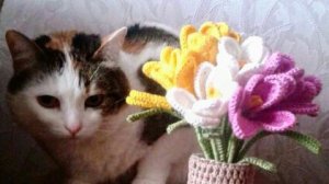 МарГоша - Отпускаю ... (26-02-2026)