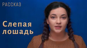 Слепая лошадь