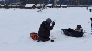 Поимка форели