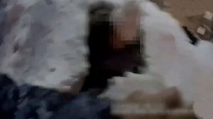 Застрявшую в сугробе девочку спасли сотрудники Росгвардии в Москве