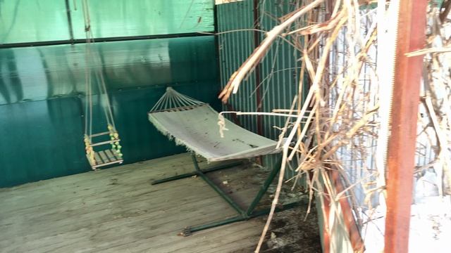 Дача смотреть онлайн