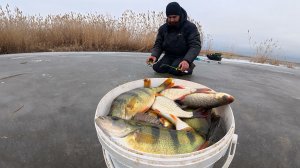 СУМАСШЕДШИЙ КЛЁВ ПО ПОСЛЕДНЕМУ ЛЬДУ. ОКУНЯ ТЬМА! ЛОВИТСЯ НА СВОЙ ГЛАЗ! Краснопёрка.